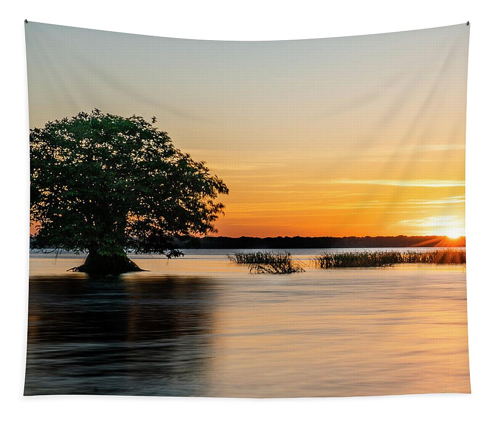 Todd Tucker Tapestry featuring the digital art Cypress Sunset by Todd Tucker