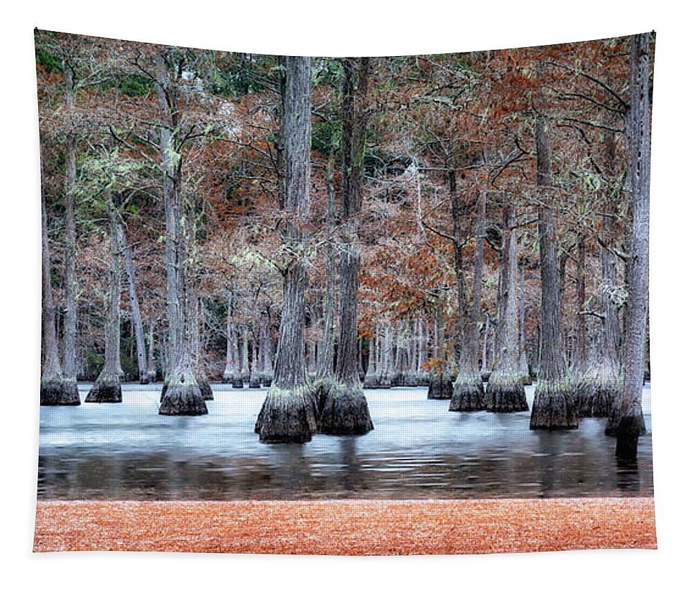  Tapestry featuring the photograph Cypress Trees of Autumn by C Renee Martin