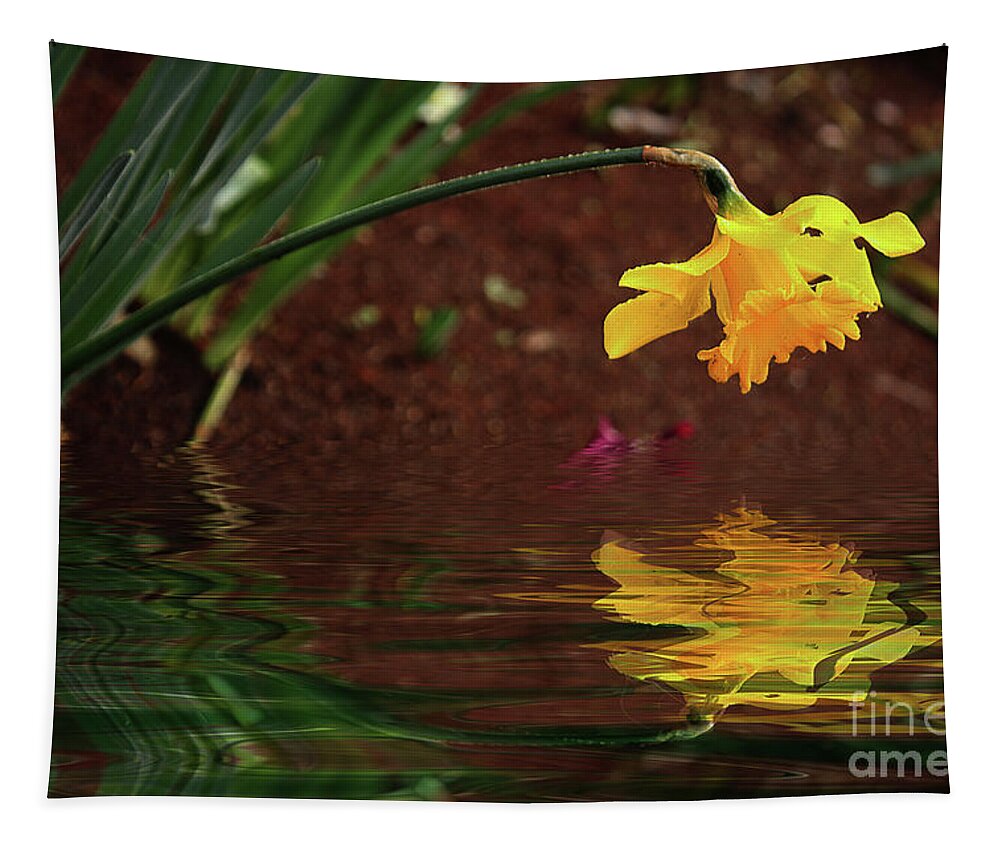 Flower Tapestry featuring the photograph Daffodil Reflection by Elaine Teague