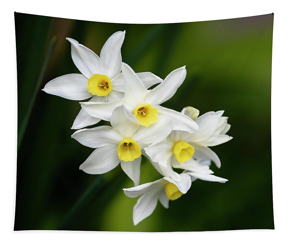 Daffodils Tapestry featuring the photograph Daffodils by Gary Geddes