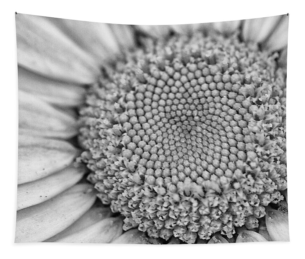 Daisy Tapestry featuring the photograph Daisy Detail in Black and White by Bob Decker