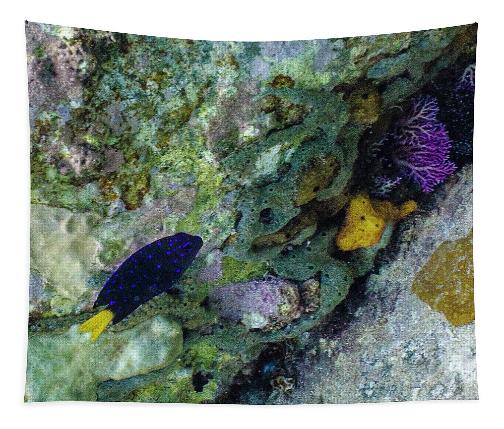 Ocean Tapestry featuring the photograph Damsel, No Distress by Lynne Browne