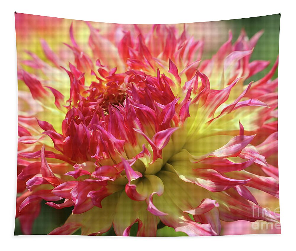 Dahlia Tapestry featuring the photograph Dancing Dahlia by Eva Lechner