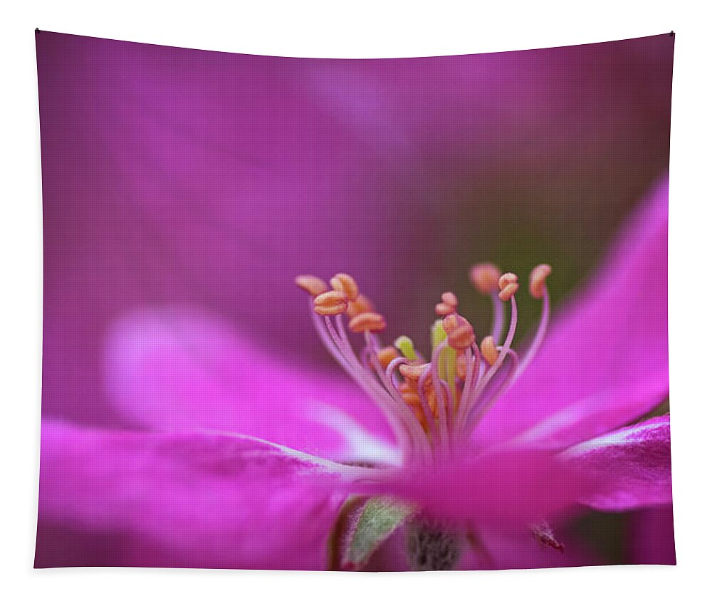 Pink Tapestry featuring the photograph Dancing In Pink by Pamela Dunn-Parrish