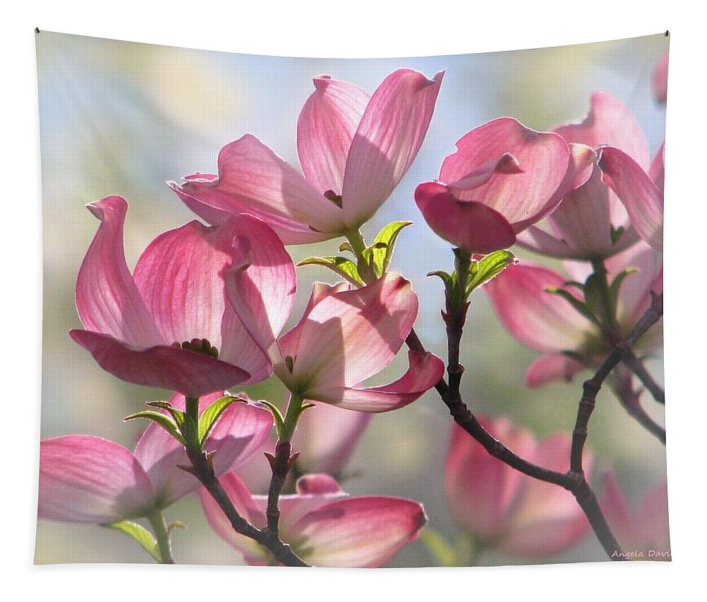 Dogwood Tapestry featuring the photograph Dancing in the Light of Spring by Angela Davies