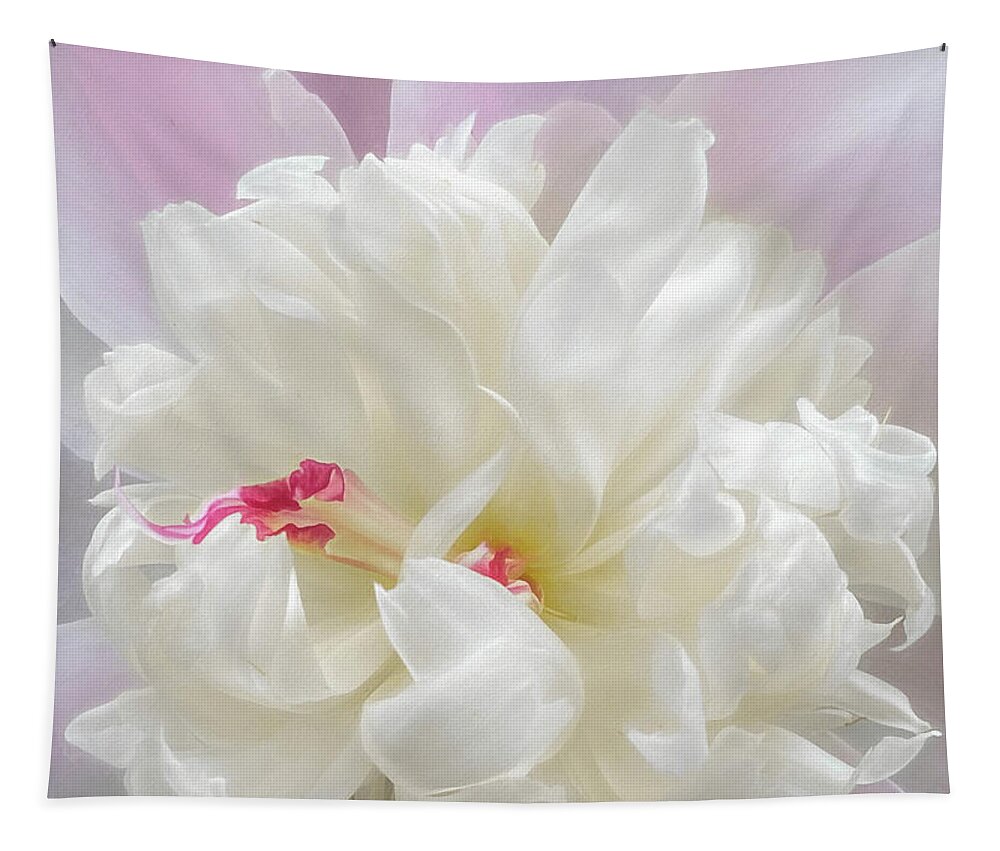 Peony Tapestry featuring the photograph Dancing Peony Clouds by Kevin Lane