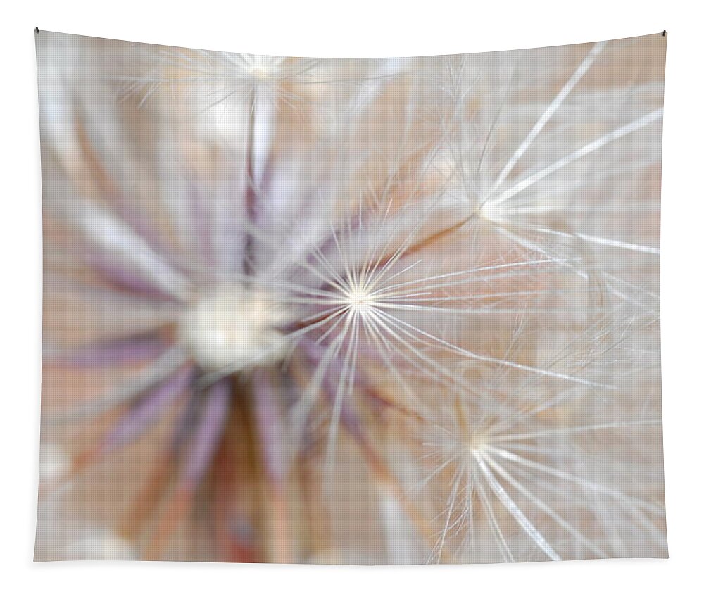 Nature Tapestry featuring the photograph Dandelion 2 by Amy Fose