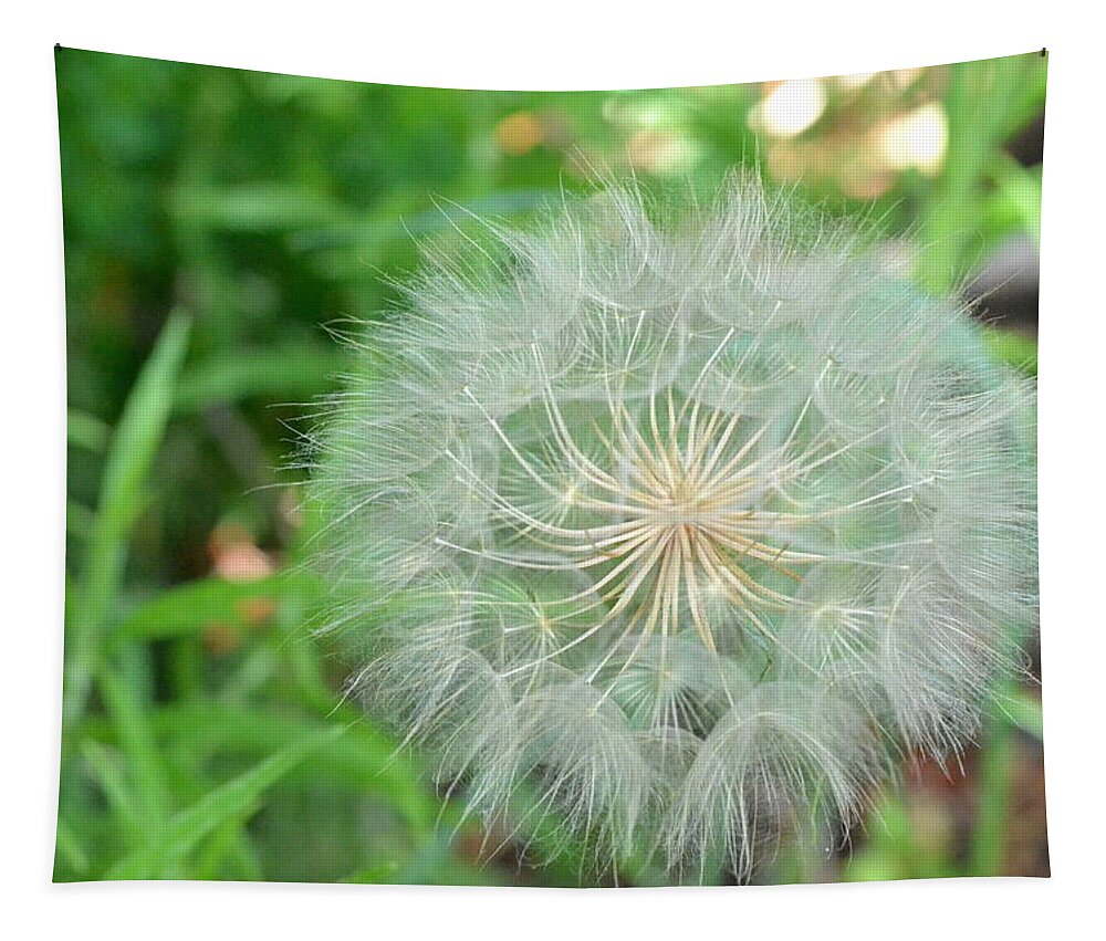 Nature Tapestry featuring the photograph Dandelion 4 by Amy Fose