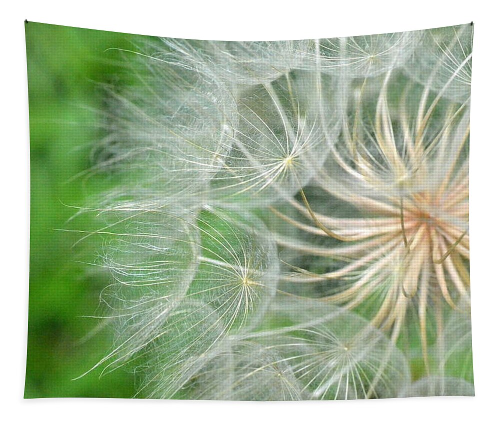 Nature Tapestry featuring the photograph Dandelion 5 by Amy Fose