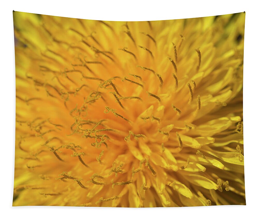Flower Tapestry featuring the photograph Dandelion by David Beechum