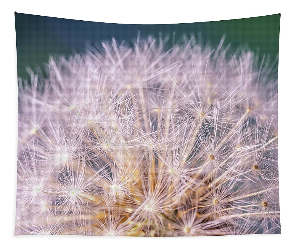 Dandelion Tapestry featuring the photograph Dandelion Head by Framing Places