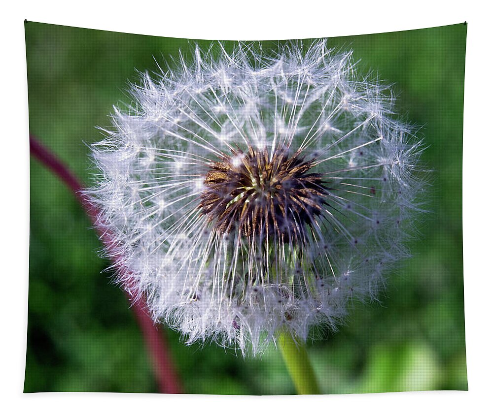 Beautiful Tapestry featuring the photograph Dandelion On Green by David Desautel
