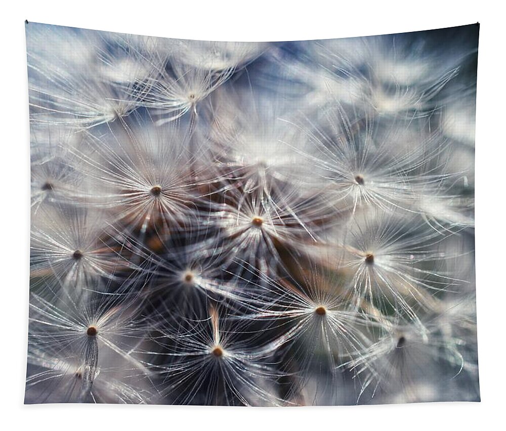 Dandelion Tapestry featuring the photograph Dandelion Seeds by Evan Foster