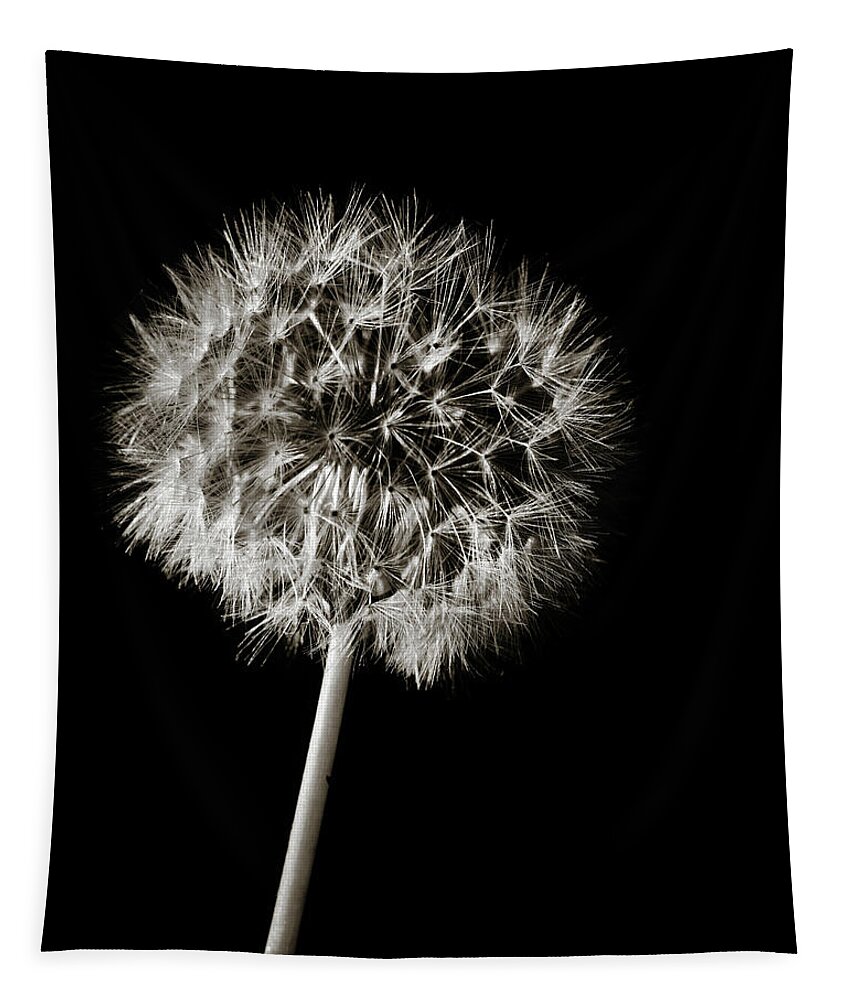 Dandelion Tapestry featuring the photograph Dandelion Wld Flower 217.2107 by M K Miller