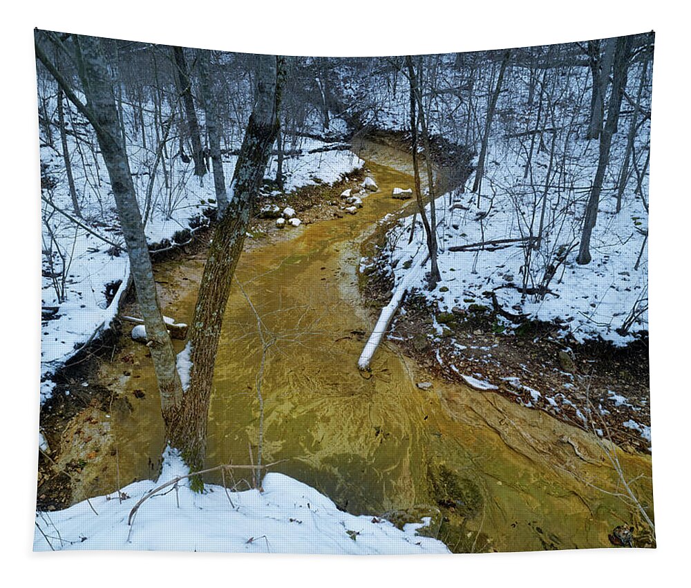 Winter Tapestry featuring the photograph Daniel Boone Conservation Area by Robert Charity
