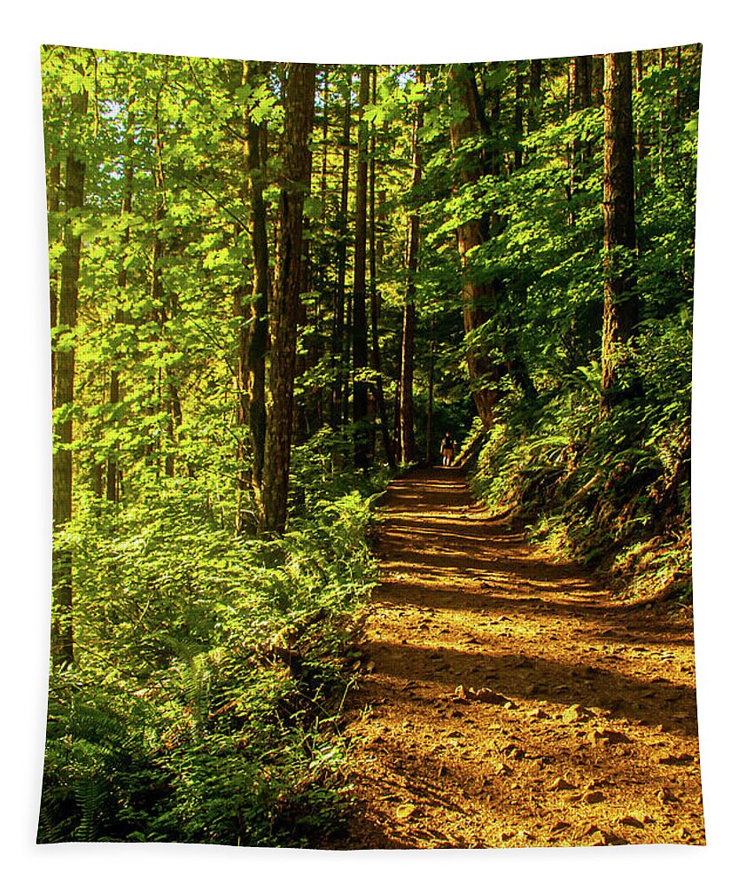 Pnw Tapestry featuring the photograph Into the Woods by Leslie Struxness