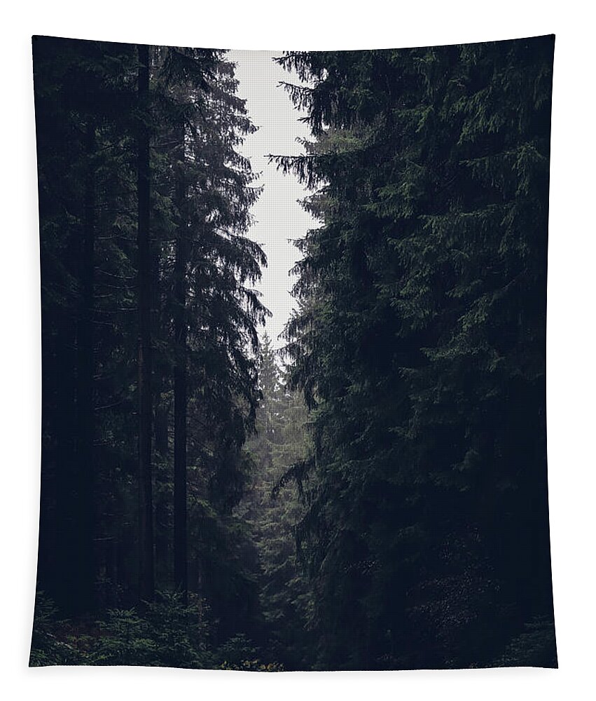 Forest Tapestry featuring the photograph Dark atmosphere in forest. Forgotten road in rainy day by Vaclav Sonnek