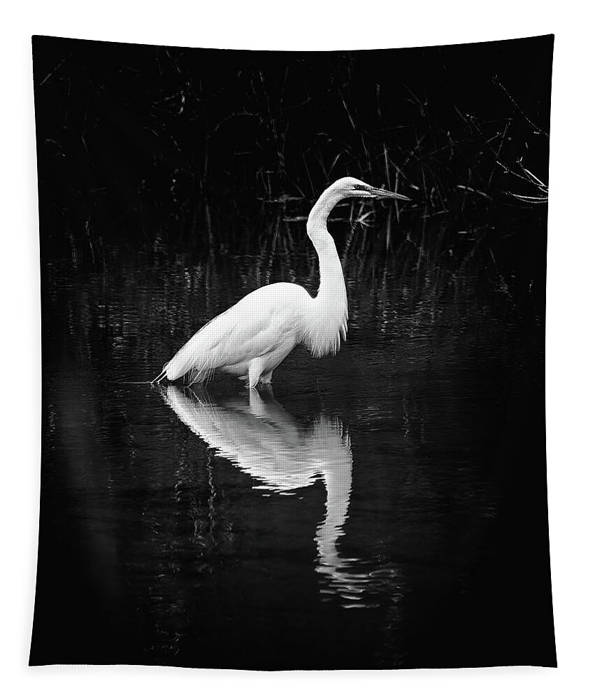 Egret Tapestry featuring the photograph Dark Egret by Steven Nelson