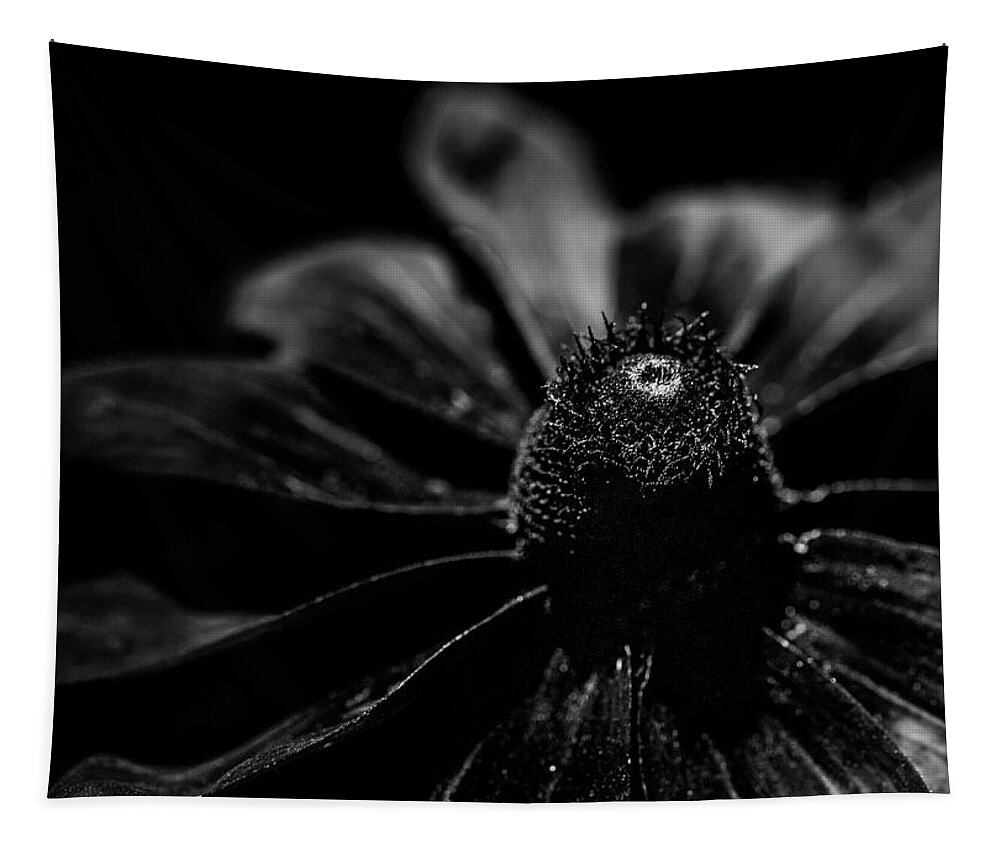 Black Tapestry featuring the photograph Dark Floral by Amelia Pearn