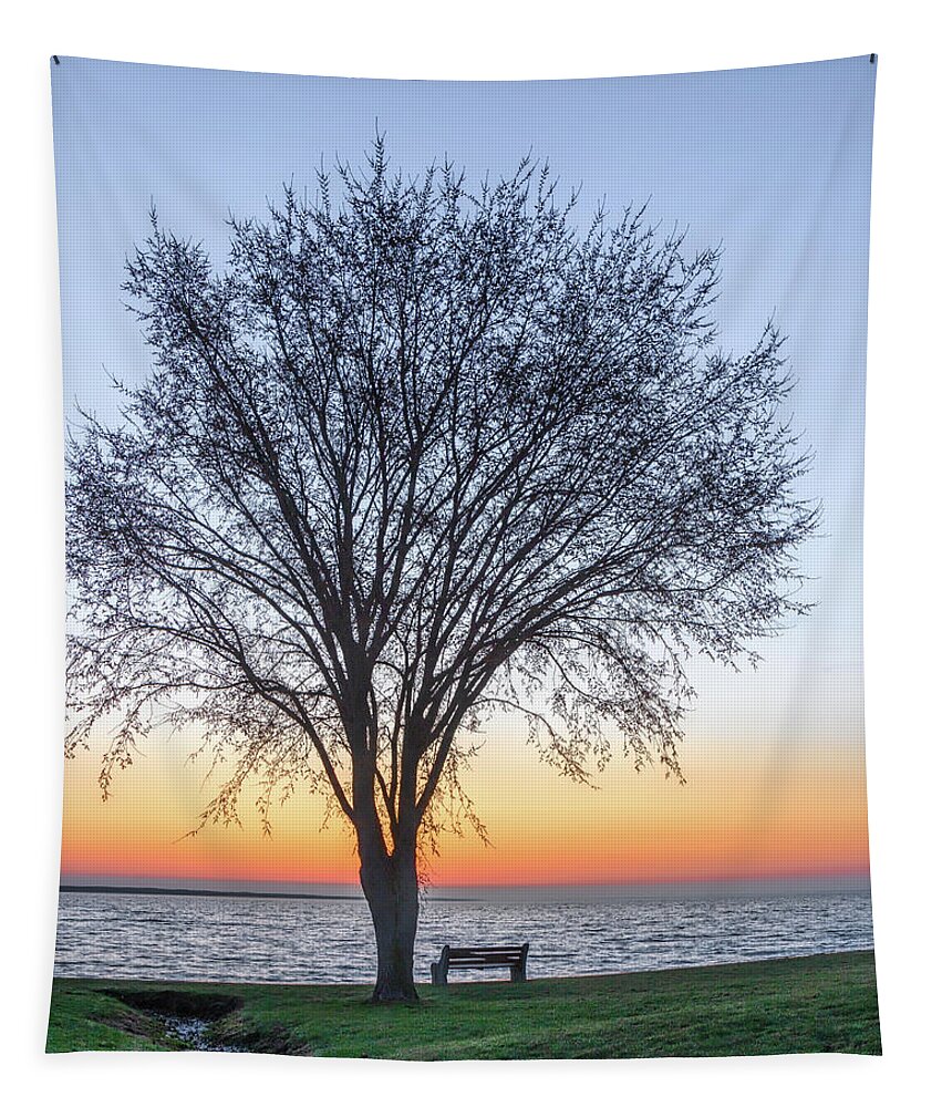 Dawn Tapestry featuring the photograph Dawn Awakens by Rod Best