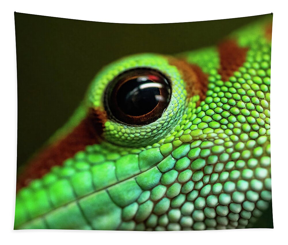 Day Gecko Tapestry featuring the photograph Day Gecko Macro by Wesley Aston