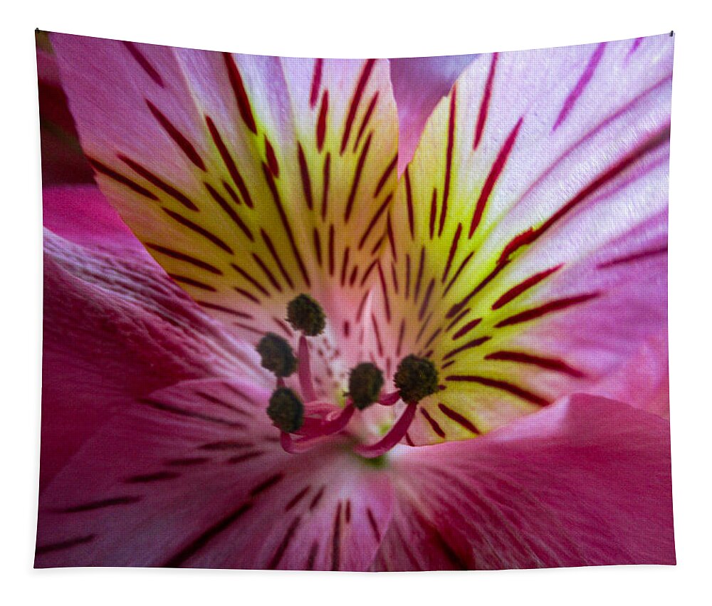 Daylily Tapestry featuring the photograph Daylily by W Craig Photography