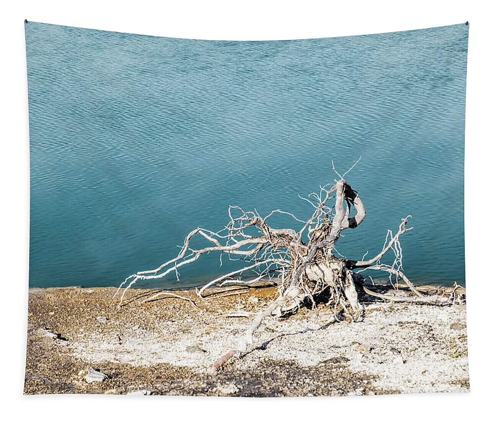 Yellowstone Tapestry featuring the photograph Dead Tree In Yellowstone by Alberto Zanoni