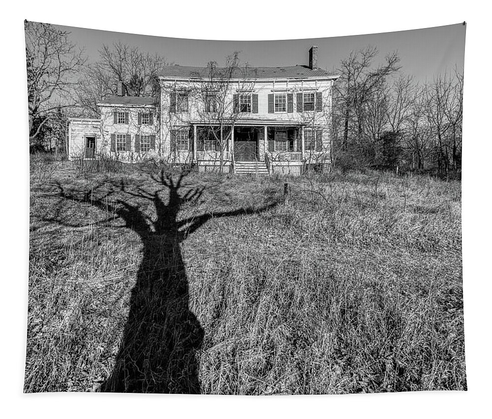 Voorhees Farm Tapestry featuring the photograph Death Tree by David Letts