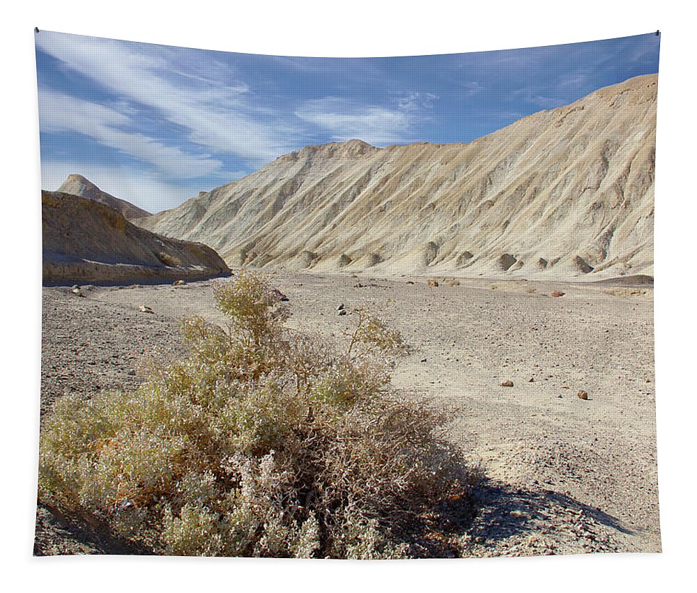 Desert Tapestry featuring the photograph Death Valley by Mike McGlothlen