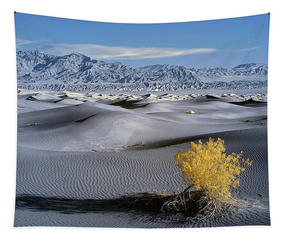 Landscape Tapestry featuring the photograph Death Valley Schrub II by Jon Glaser