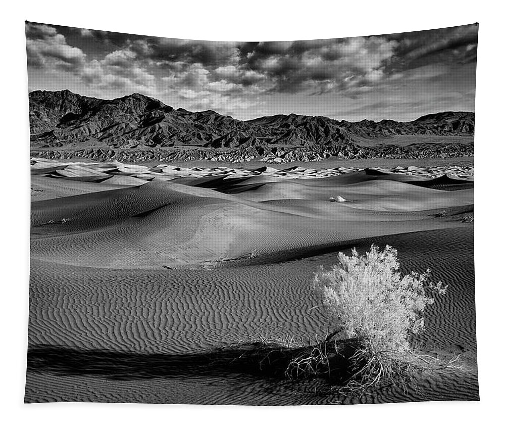Landscape Tapestry featuring the photograph Death Valley Shrub by Jon Glaser