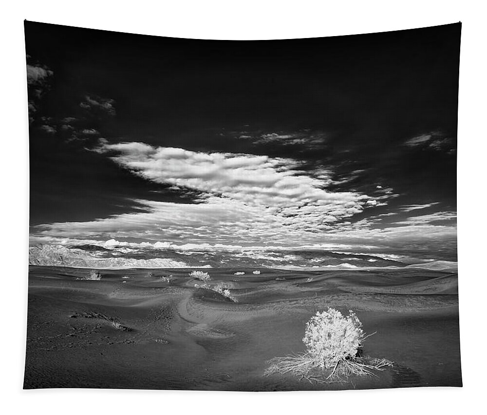 Landscape Tapestry featuring the photograph Death Valley Starkness II by Jon Glaser