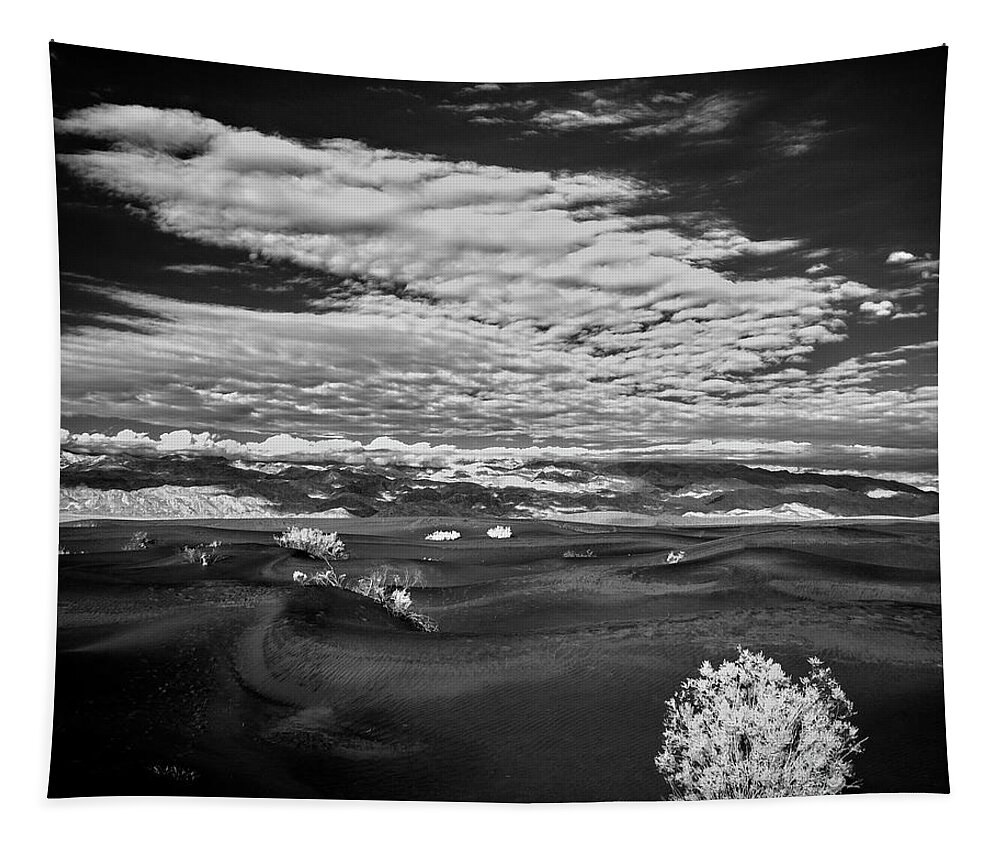 Landscape Tapestry featuring the photograph Death Valley Starkness by Jon Glaser