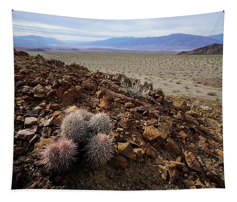 Hell’s Gate Tapestry featuring the photograph Death Valley Tough by Brett Harvey