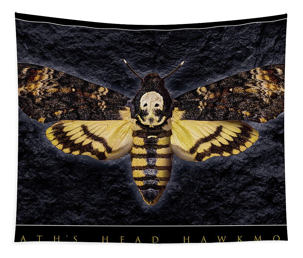 Death's-head Hawkmoth Tapestry featuring the photograph Deaths Head Hawk Moth Framed Version by Weston Westmoreland