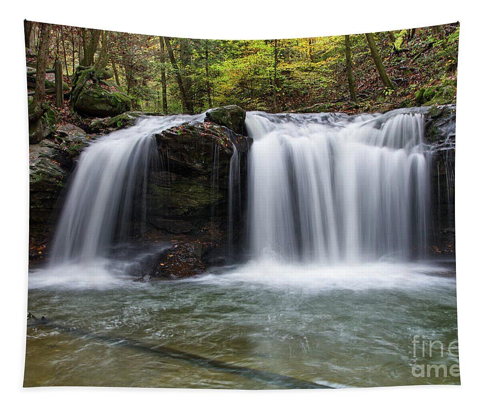 Debord Falls Tapestry featuring the photograph Debord Falls 16 by Phil Perkins
