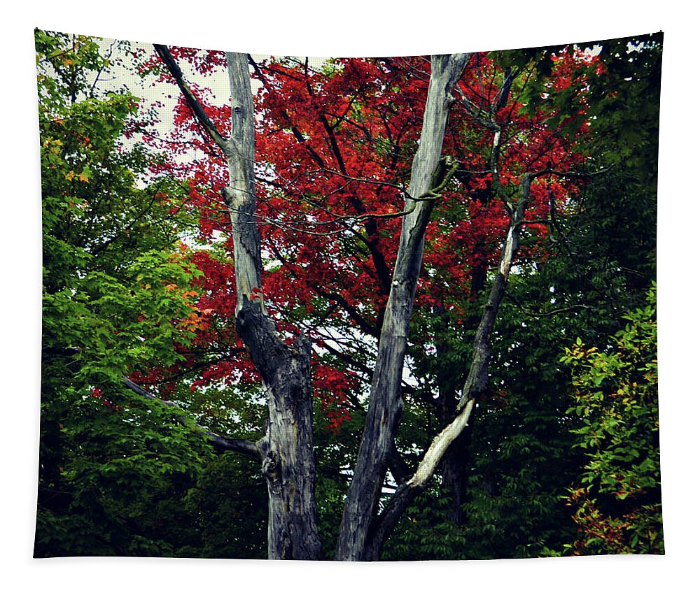 Decaying Red Tapestry featuring the photograph Decaying Red by Cyryn Fyrcyd