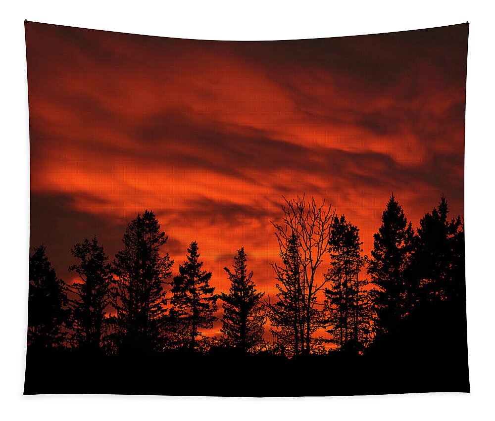 December Tapestry featuring the photograph December Sunset on Appalachian Trail Pennsylvania by David Dehner