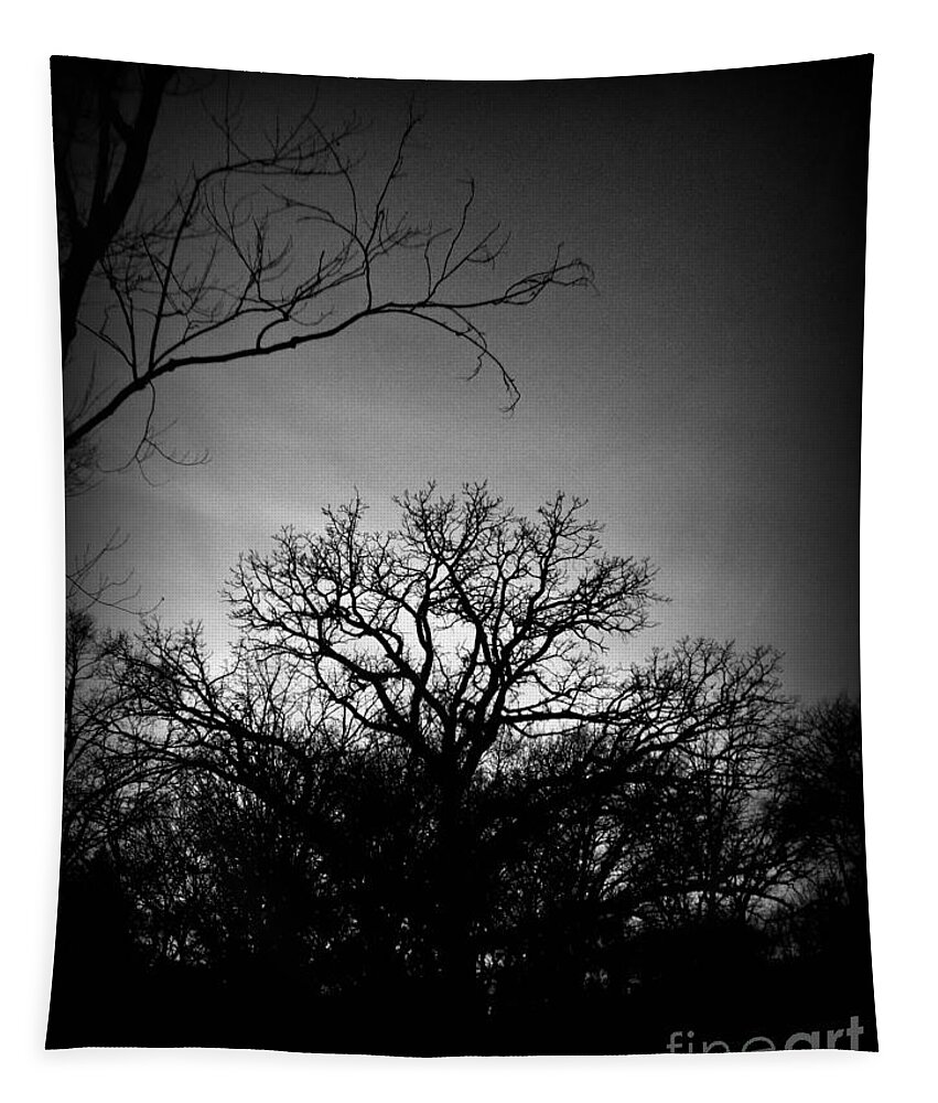 Landscape Photography Tapestry featuring the photograph December Sunset Silhouette - Black and White by Frank J Casella