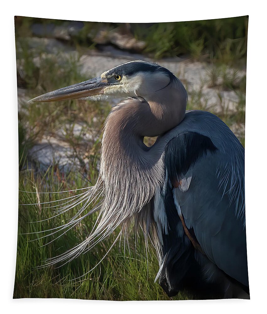 Nature Tapestry featuring the photograph Deep In Thought by JASawyer Imaging