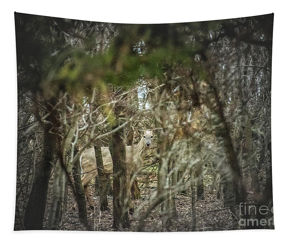 Deer Of The Woods Tapestry featuring the photograph Deer of the Woods by Troy Stapek