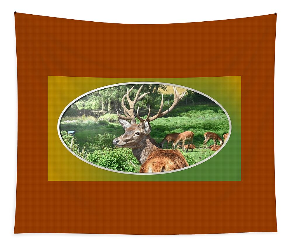 Deer Tapestry featuring the photograph Deer with Antlers by Nancy Ayanna Wyatt