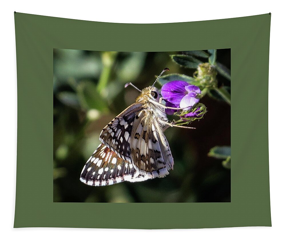 Butterfly Tapestry featuring the photograph Delicate Beauty by Laura Putman
