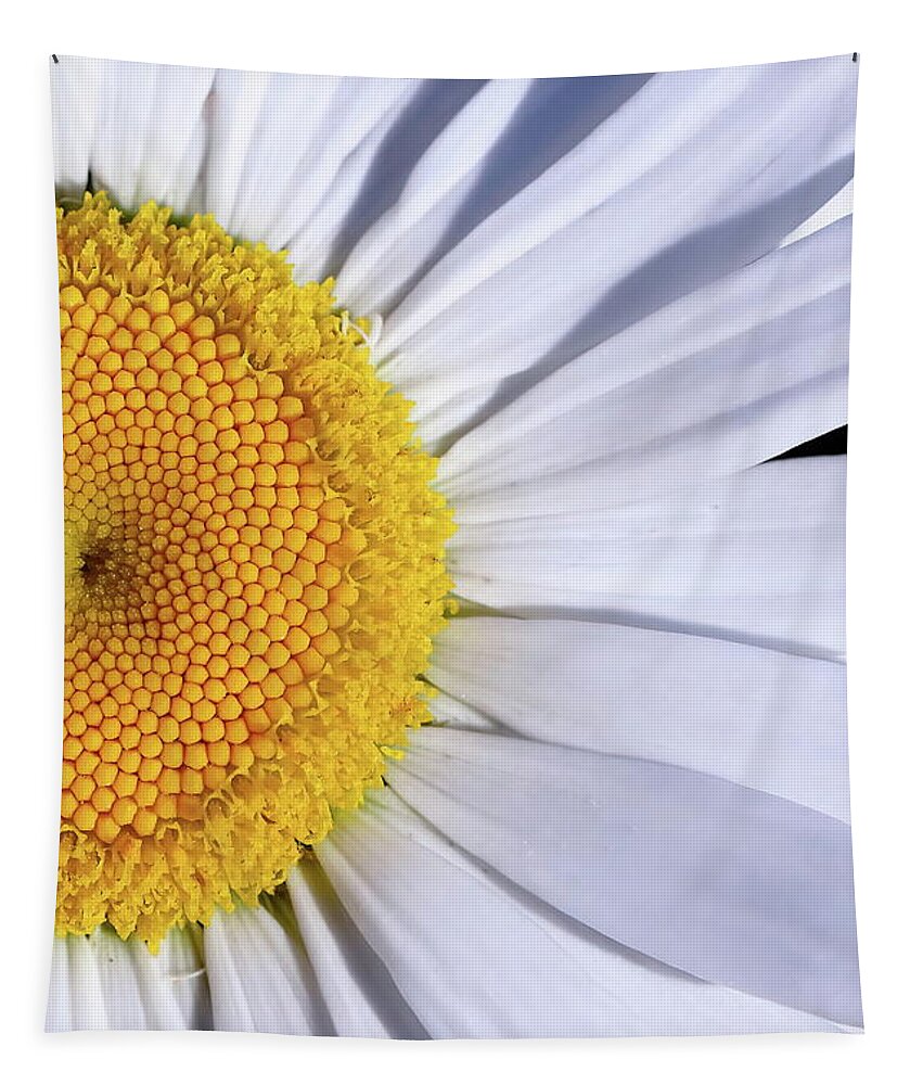 Flower Tapestry featuring the photograph Delicate Daisy by Lens Art Photography By Larry Trager