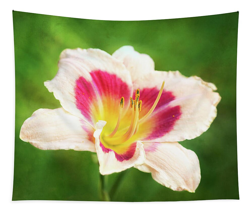 Daylily Tapestry featuring the photograph Delicious Daylily Wineberry Candy by Anita Pollak