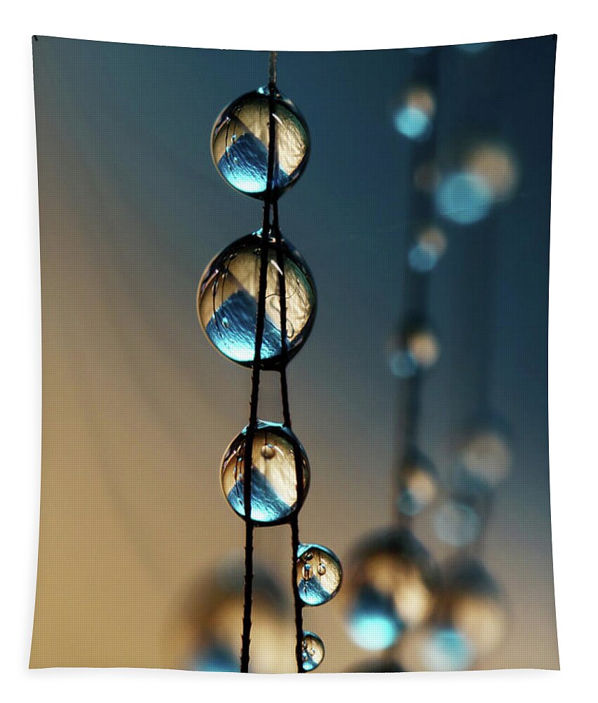 Water Tapestry featuring the photograph Denim Blue Grass Seed Drops by Sharon Johnstone