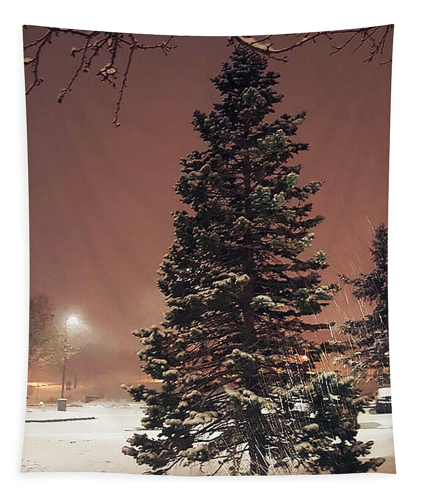  Christmas Tapestry featuring the photograph Denver Snow by Raquel Gregory