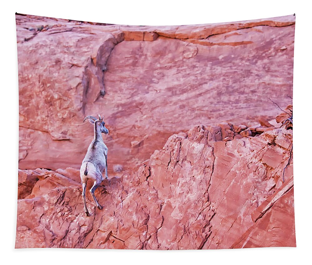 Nature Tapestry featuring the photograph Desert Bighorn Sheep at Valley of Fire by Tatiana Travelways