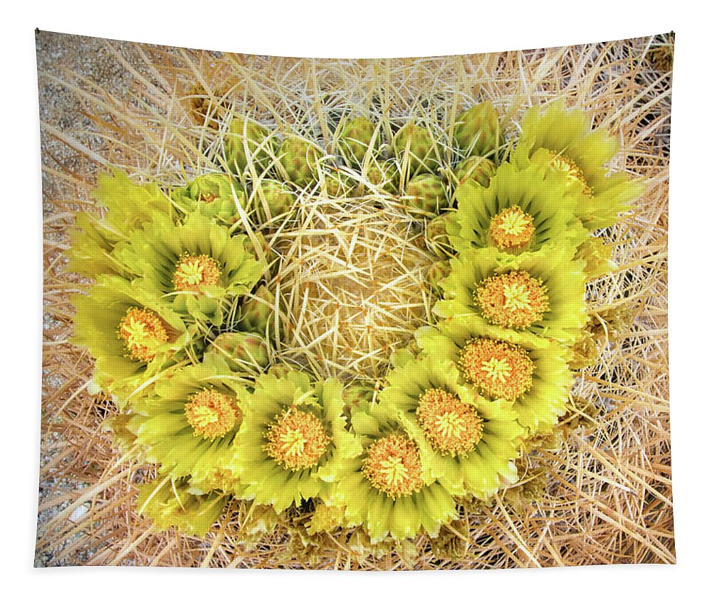 Barrel Cactus Tapestry featuring the photograph Desert Blooms by Rebecca Herranen