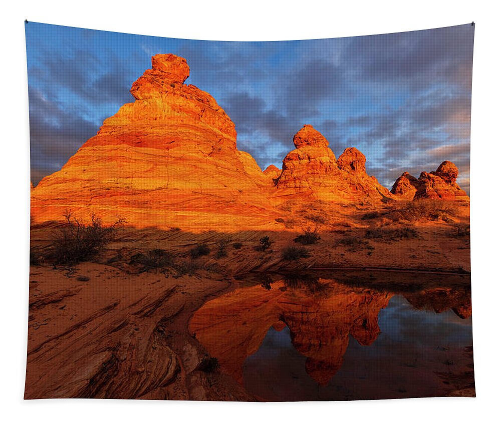 Arizona Tapestry featuring the photograph Desert Burst by Chad Dutson